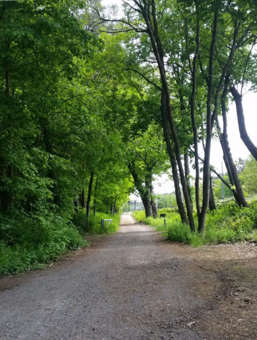 Pendeln durchs Grüne? Oder: Alle Wege führen nach Erkner