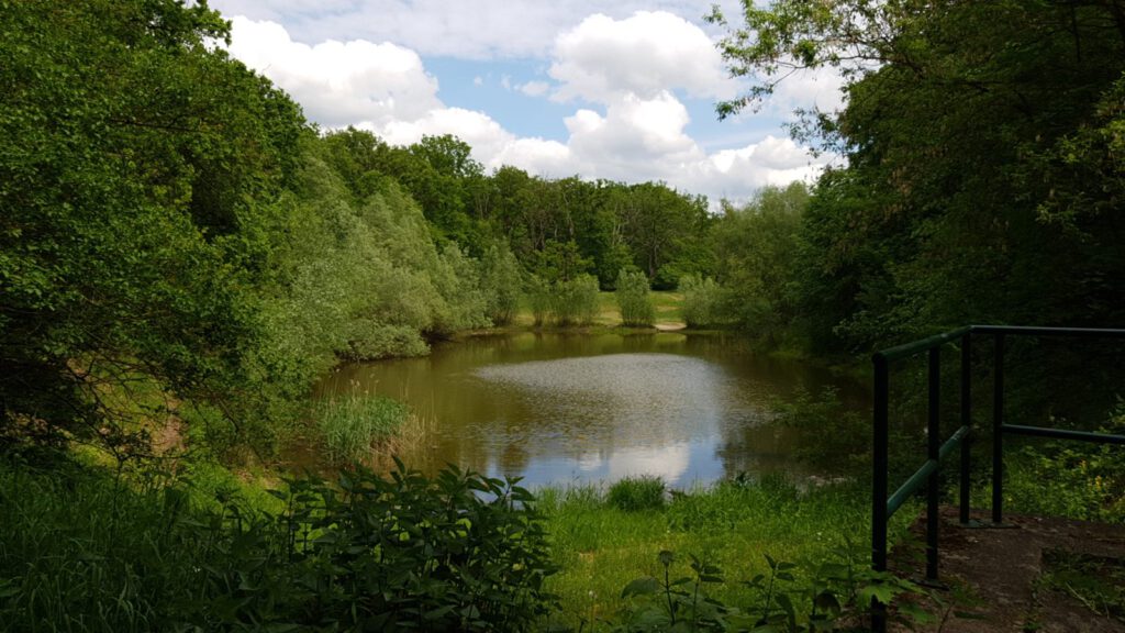 Blick auf Krötenteich oder Stausee am Mühlenfließ in Rahnsdorf