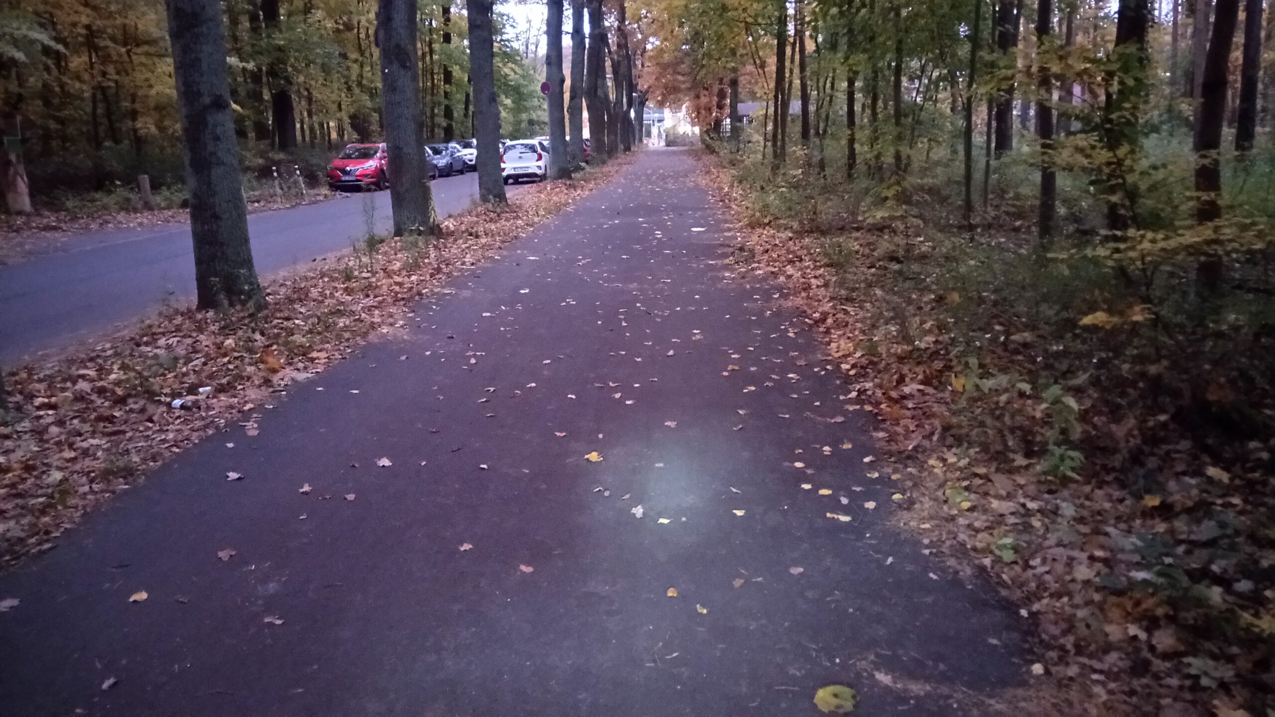 Herbst und Winter, jedes Jahr eine kleine Herausforderung.